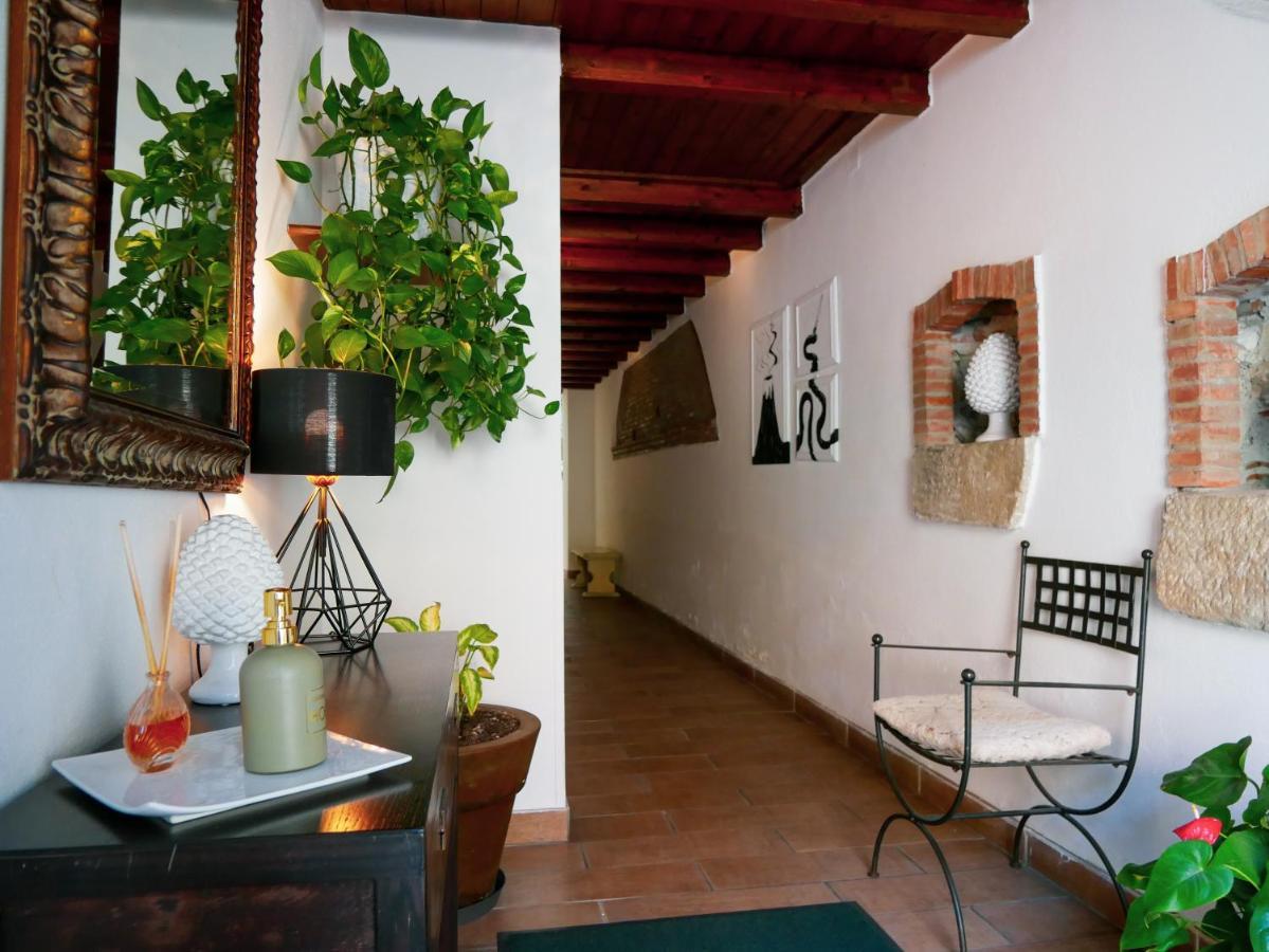 My Friend Antonia Bed & Breakfast Barcellona-Pozzo di Gotto Eksteriør bilde